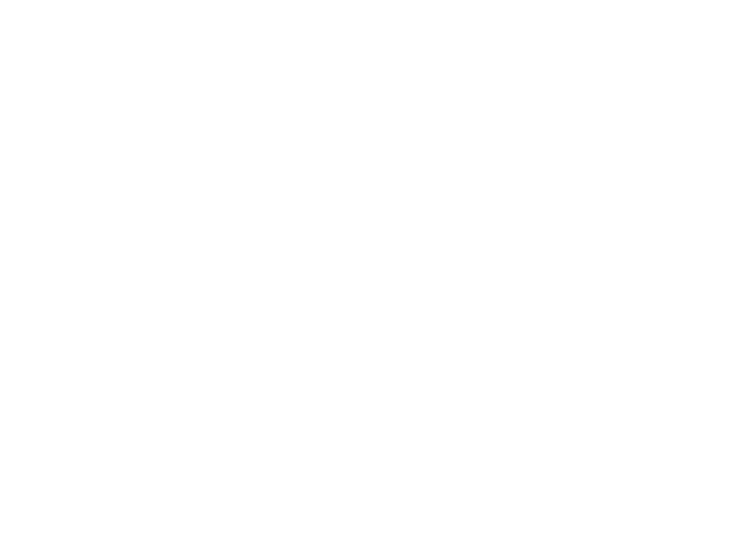 HK SALON INC