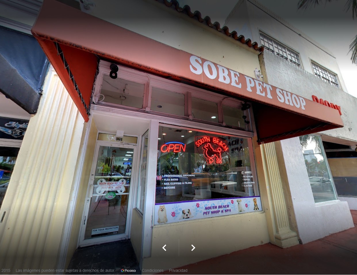 South Beach Pet Spa and Grooming
