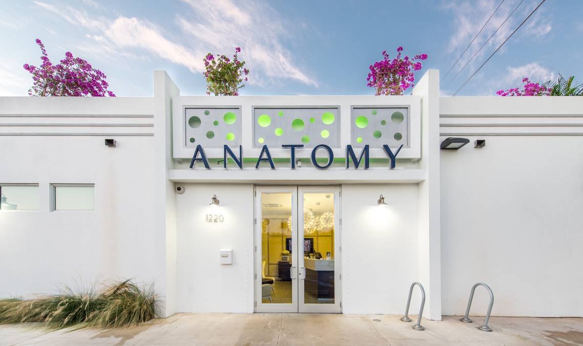 Anatomy Fitness